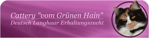 Banner Cattery Vom Grünen Hain