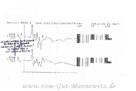 Kasimirs Audiometrietest